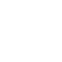 Spice Merchant logo.